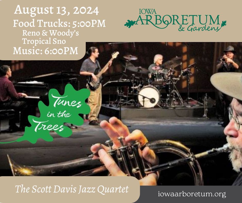 Scott Davis Jazz Quartet performs at the Arboretum Augist 13, 2024
