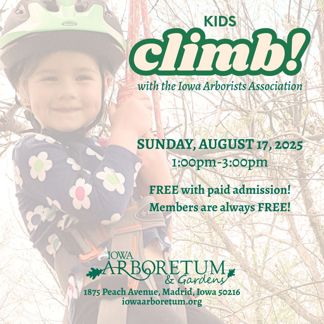 Kids Climbe tree climbing event 1-3pm Sunday August 17, 2025